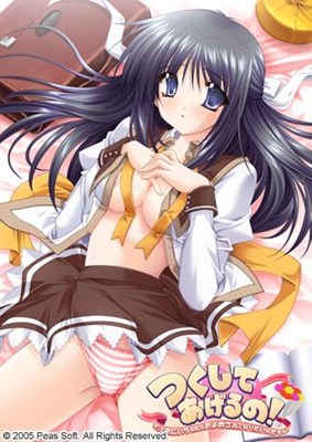 つくしてあげるの!~だっておにいちゃんのおよめさんになりたいんだもん~